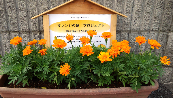 認知症への理解（オレンジの輪プロジェクト）